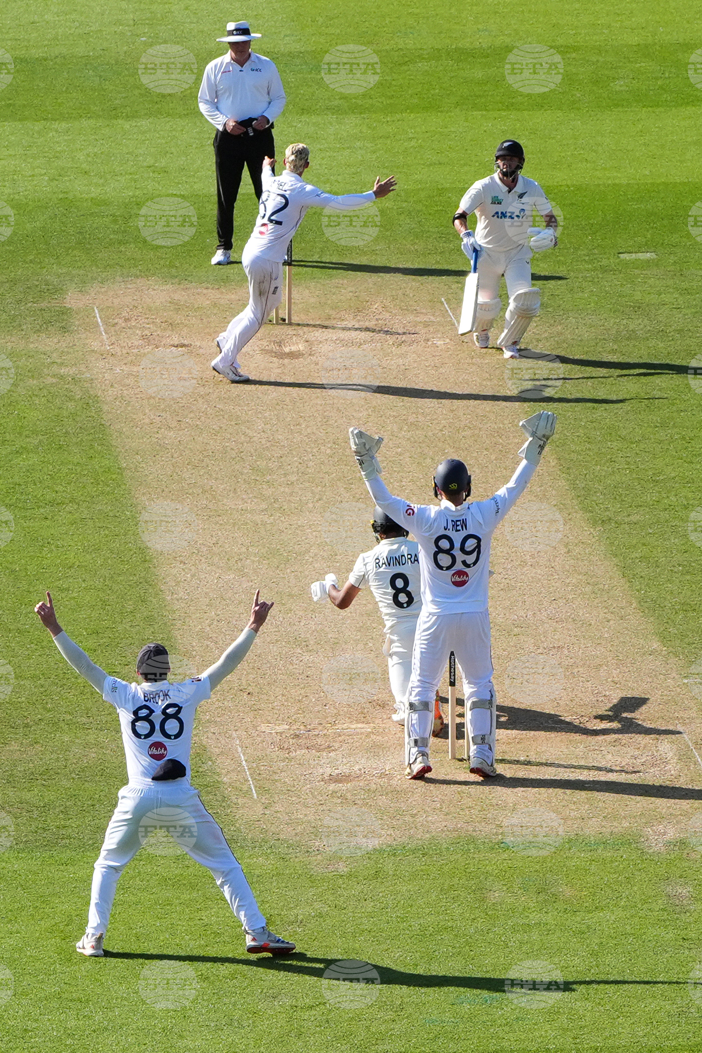 Britain England New Zealand Cricket