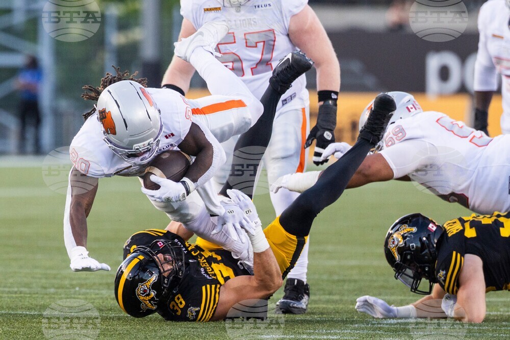 Lions Tiger-Cats Football