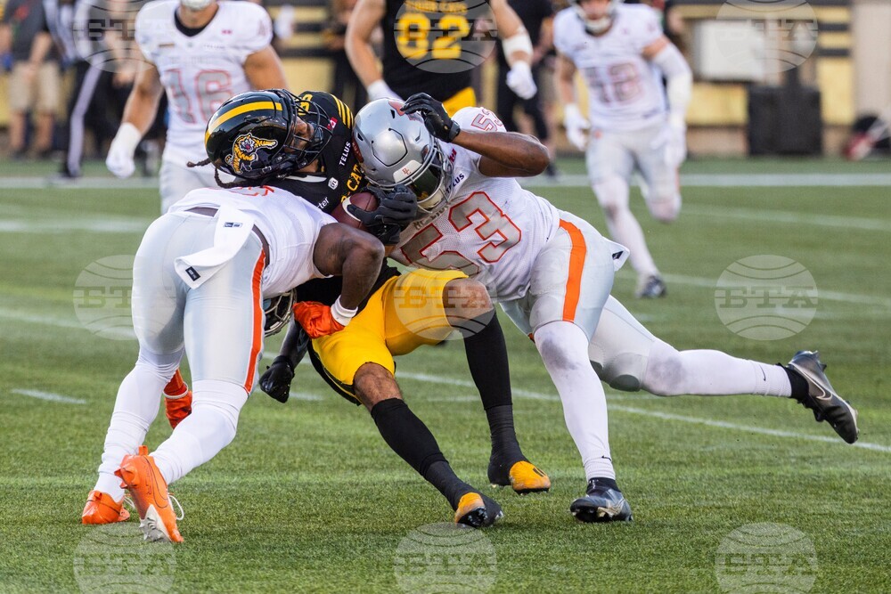 Lions Tiger-Cats Football