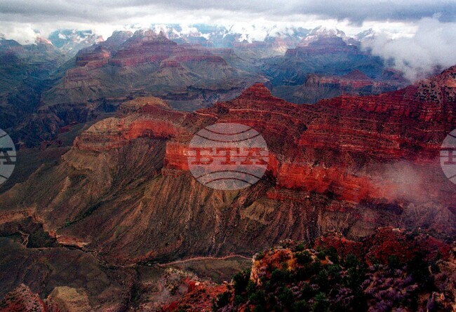 Grand Canyon-Hikers Dead