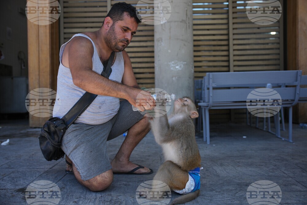 Lebanon Daily life