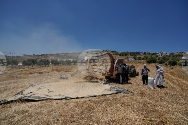 Israel Palestinians