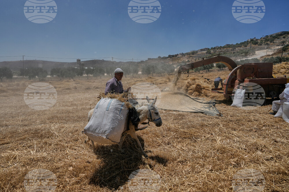 Israel Palestinians
