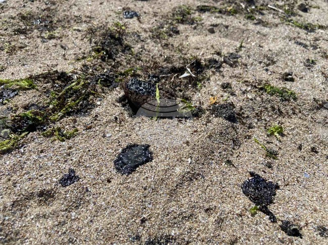 Black Sea Beaches Hit by Old Oil Waste, Not Fresh Contamination, Officials Confirm