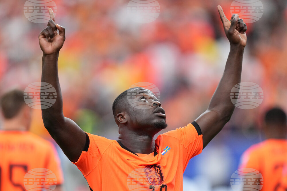 Sweden Netherlands WCup Soccer