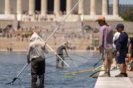 Lincoln Memorial Reflecting Pool