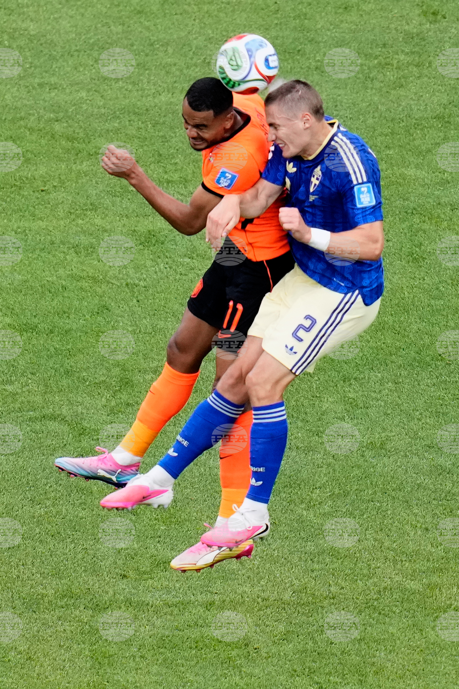 Sweden Netherlands WCup Soccer