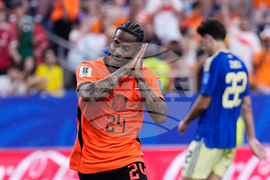Sweden Netherlands WCup Soccer