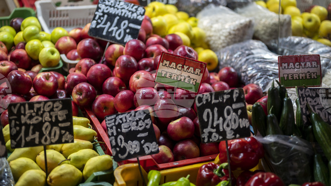 „Фич“ понижи перспективата за кредитния рейтинг на Унгария до „негативна“