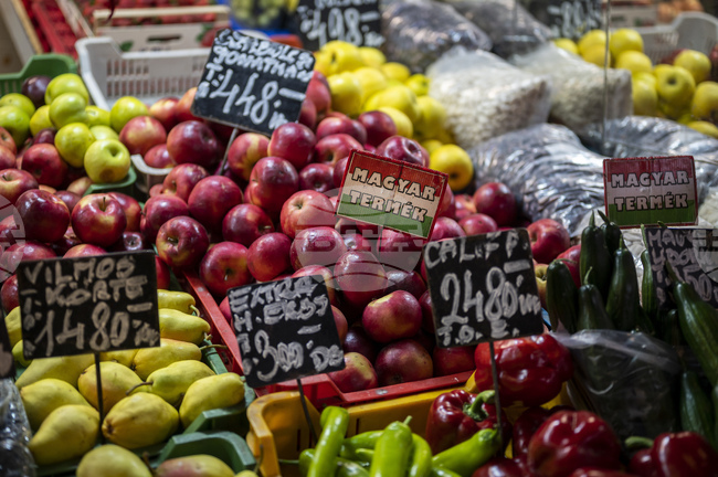 „Фич“ понижи перспективата за кредитния рейтинг на Унгария до „негативна“