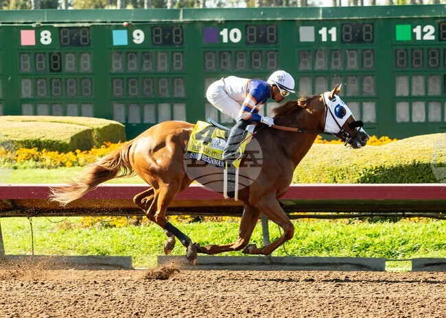 Los Alamitos Horse Racing