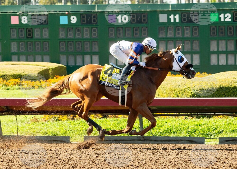 Los Alamitos Horse Racing