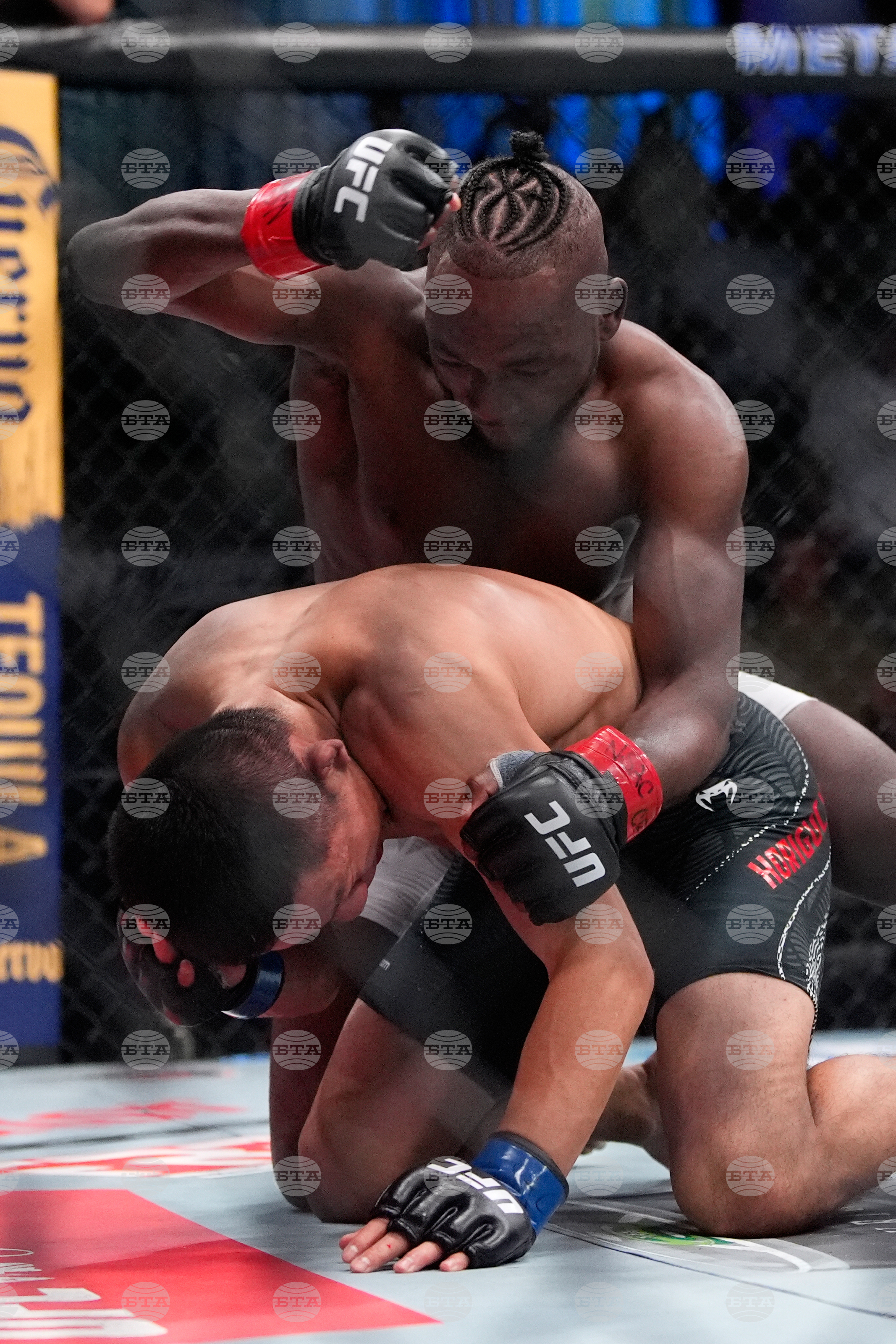 UFC Fight Night Mixed Martial Arts