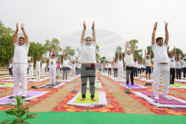 India International Yoga Day