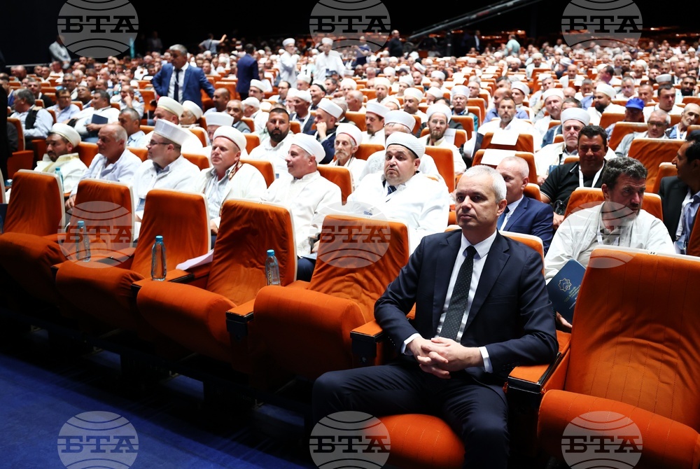 Национална мюсюлманска конференция
