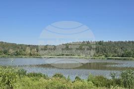 Село Красен - Еньовски фолклорен събор „Край язовир Дрян“