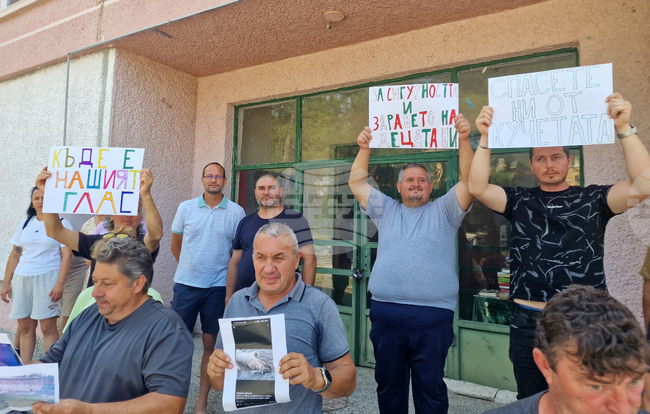Жители на търговищкото село Бистра излязоха на протест срещу отглеждането на много кучета в населеното място