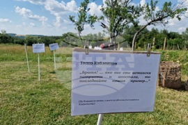 Село Цветница - „Когато корените заговорят“ - общоселски празник