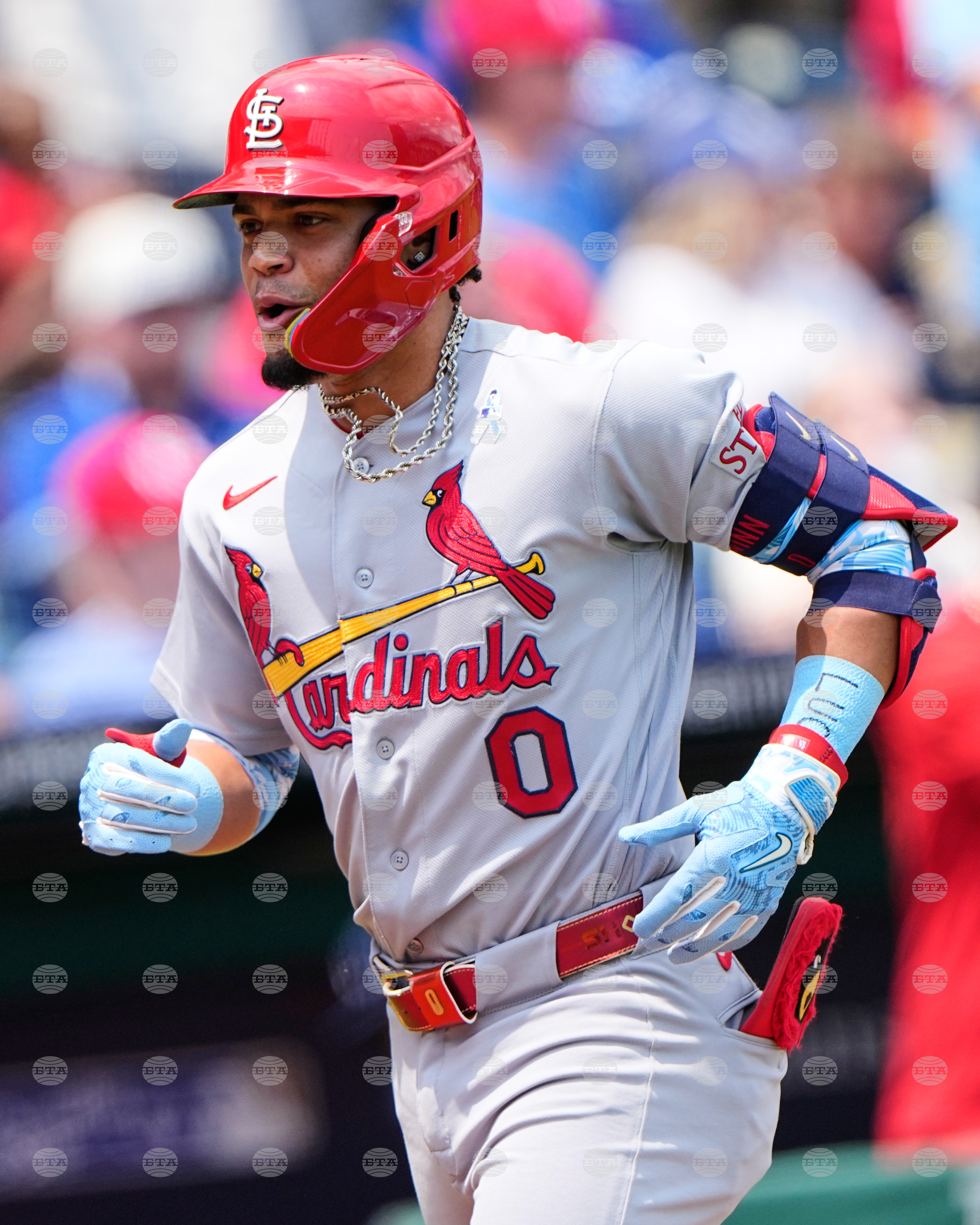 Cardinals Royals Baseball