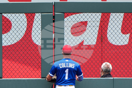 Cardinals Royals Baseball