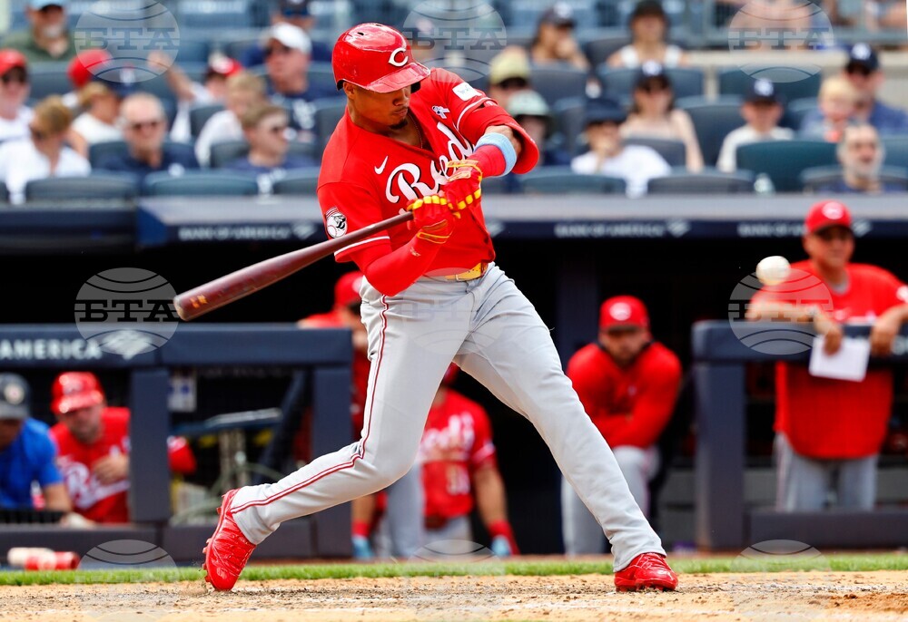 Reds Yankees Baseball