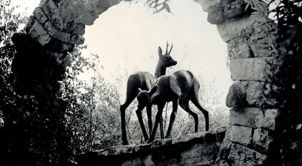 Плевен инвестира средства за възстановяване на знаковата за поколения плевенчани скулптурна композиция „Двете сърнета“ в парк „Кайлъка“