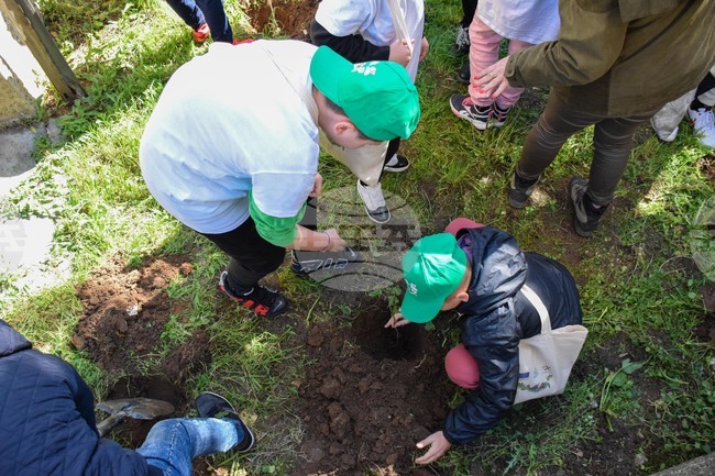 Регионалната дирекция по горите – Благоевград организира интерактивни занимания с ученици по повод Седмицата на гората