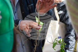 Национален пресклуб на БТА в Благоевград - ЮЗДП - залесяване