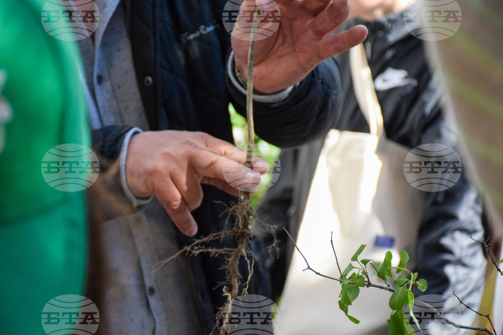 Национален пресклуб на БТА в Благоевград - ЮЗДП - залесяване