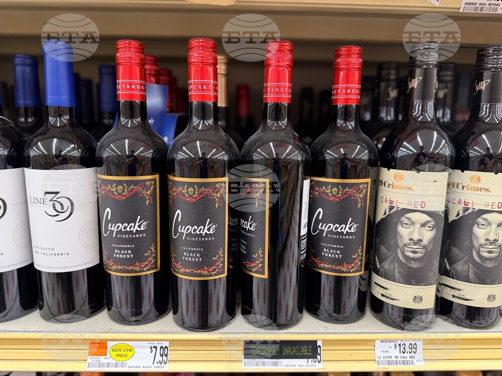 Food-Making Wine Fun