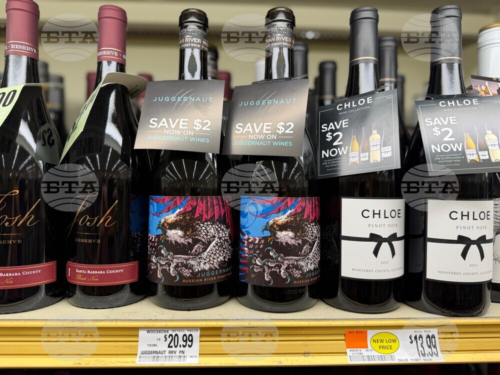 Food-Making Wine Fun