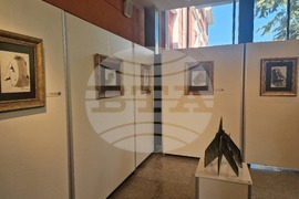 Разград - Цвятко Сиромашки - изложба - откриване
