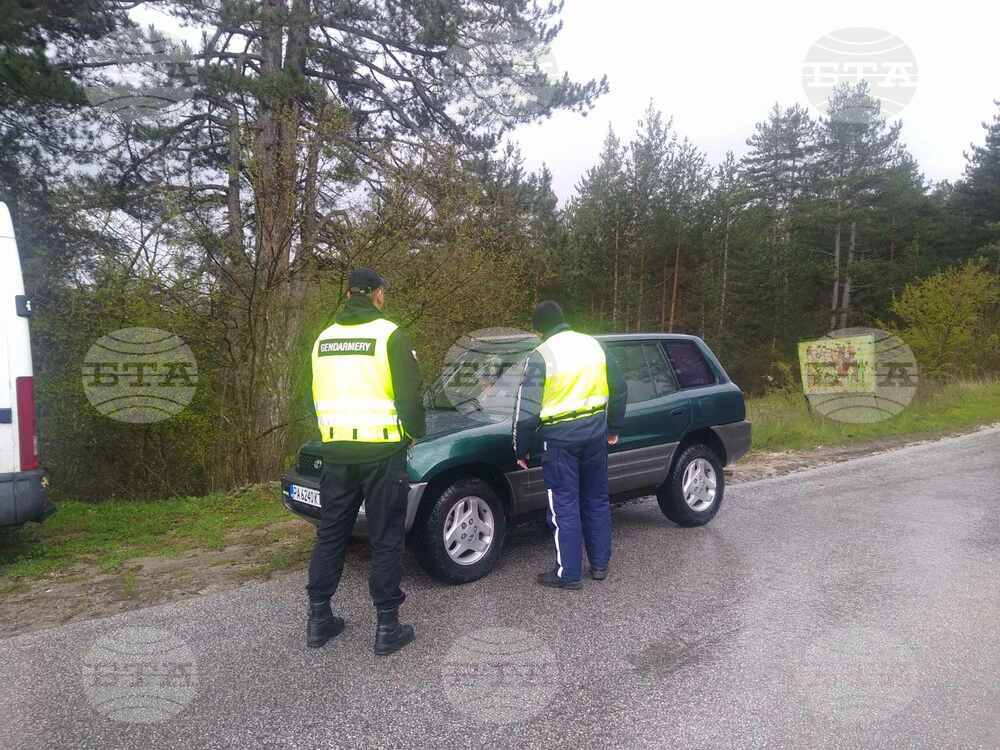 При полицейска операция в Пазарджишко са задържани 15 души и е разкрита оранжерия за канабис