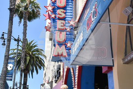 Molly Shannon Walk of Fame