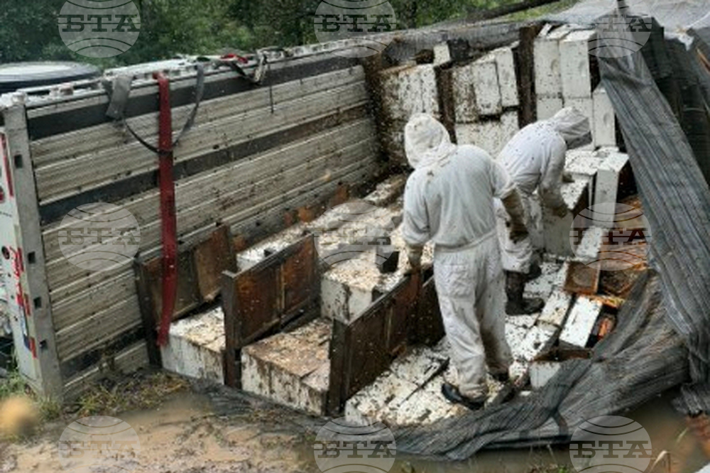 Beehives Truck Crash