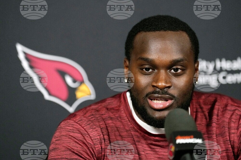 Cardinals Love Football