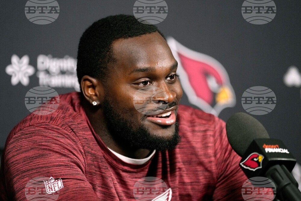 Cardinals Love Football