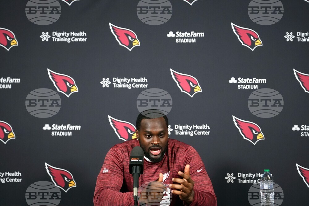 Cardinals Love Football