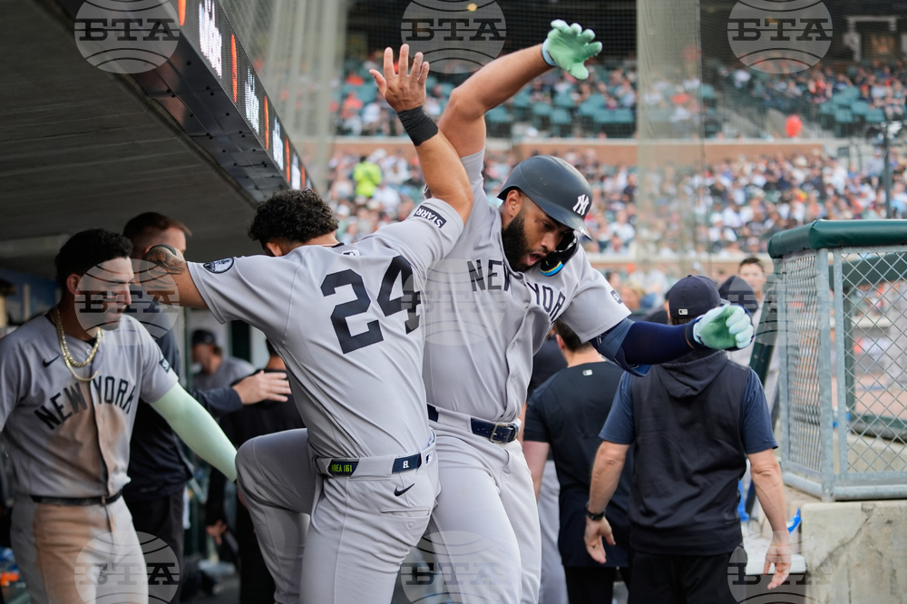 Tigers Baseball