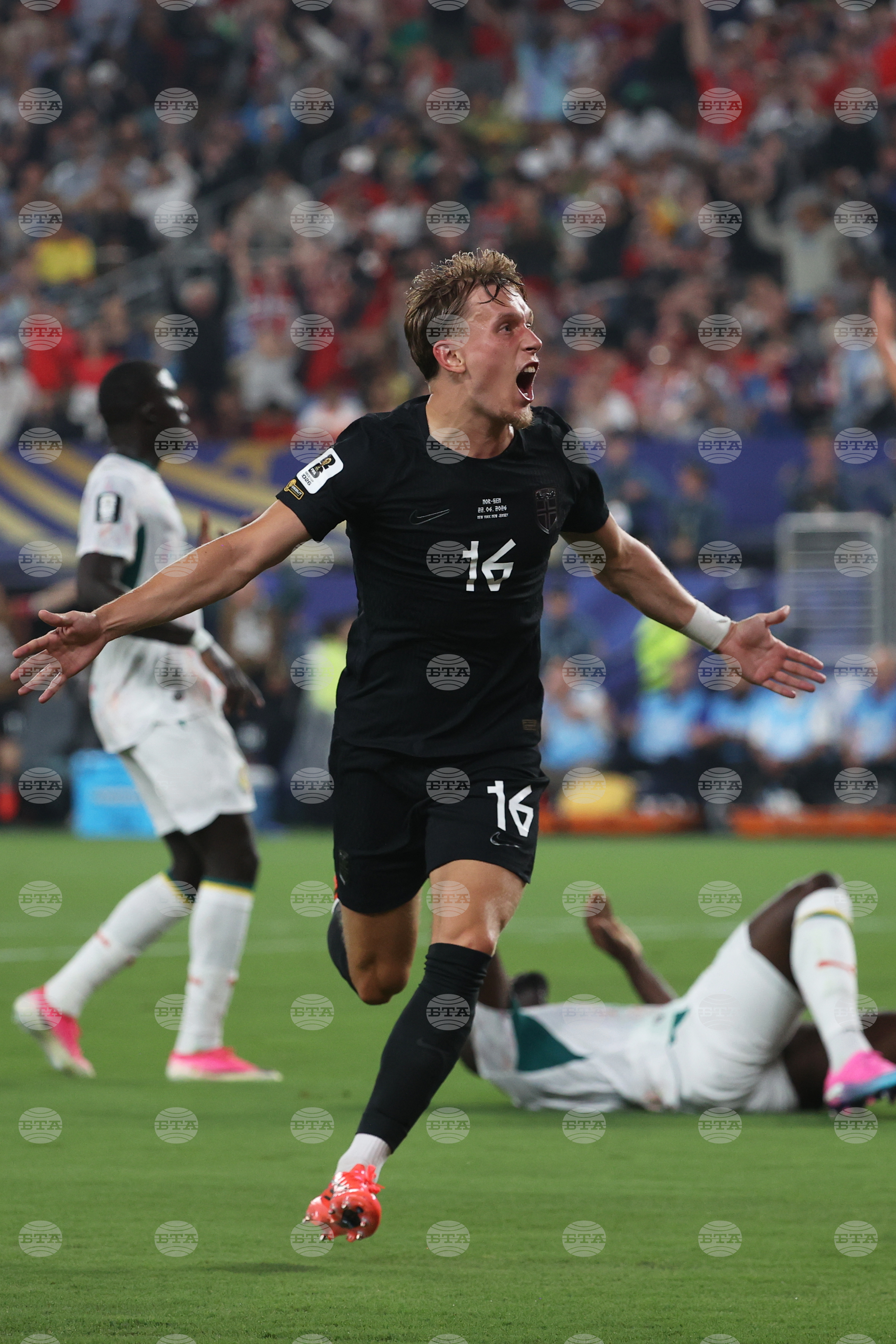 Senegal Norway WCup Soccer