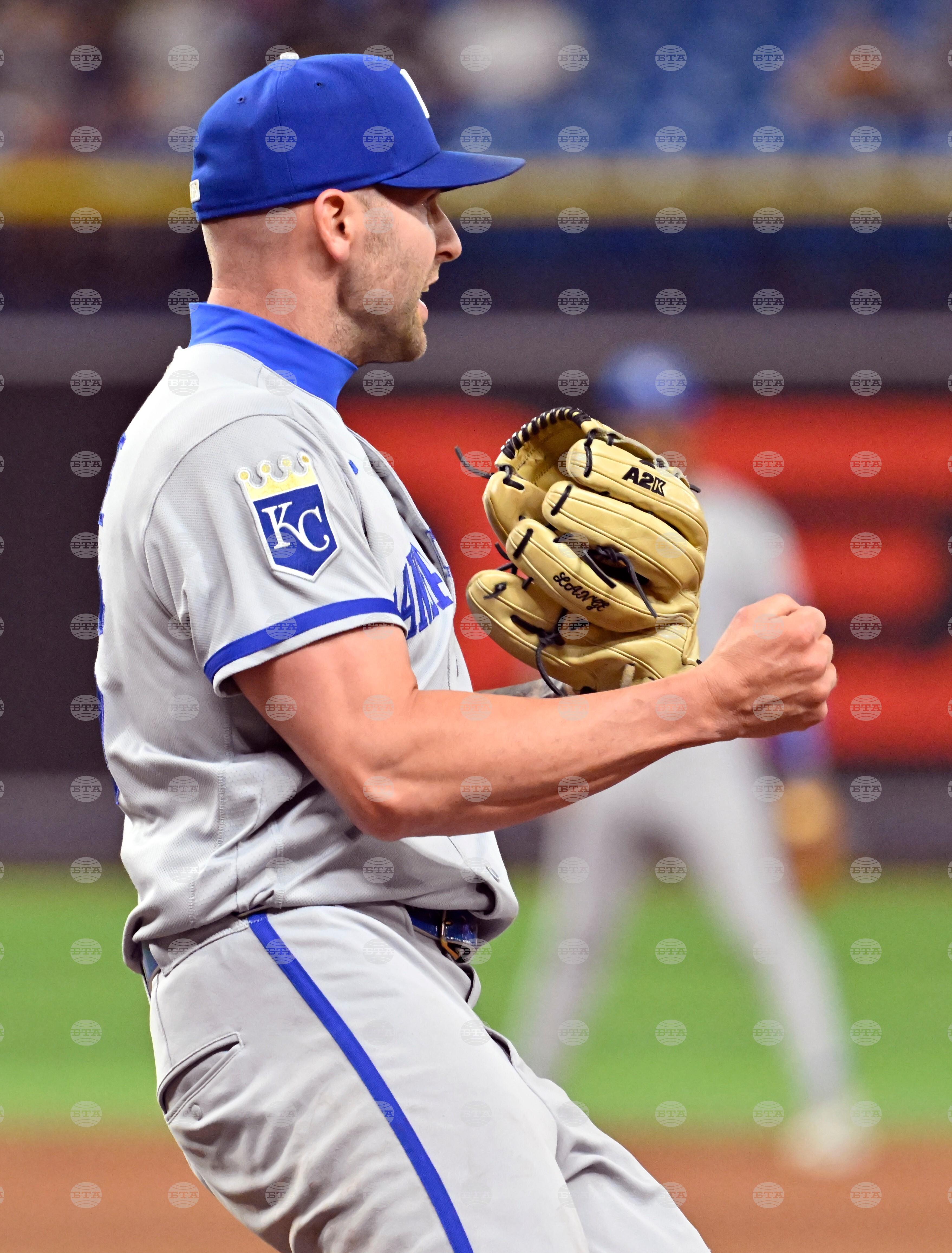 Royals Rays Baseball