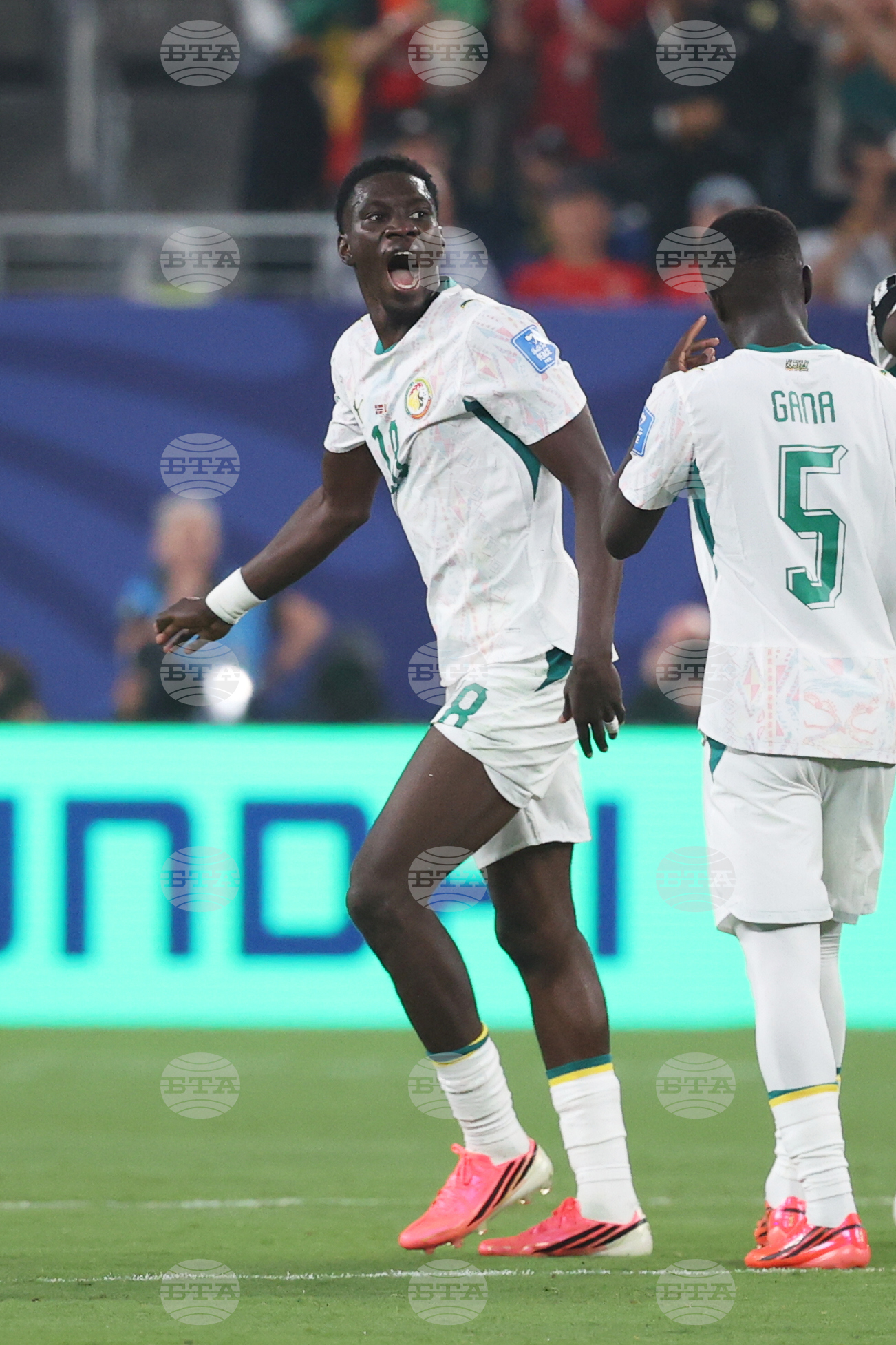 Senegal Norway WCup Soccer