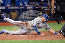 Royals Rays Baseball