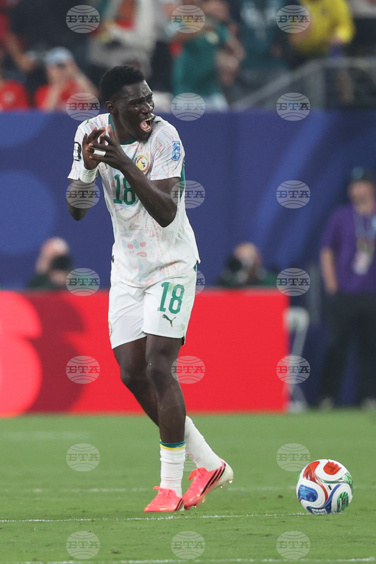 Senegal Norway WCup Soccer