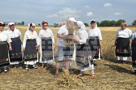 Село Кошава - жътвена кампания - откриване