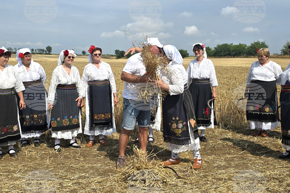 Село Кошава - жътвена кампания - откриване