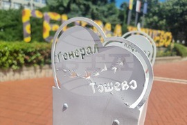 Генерал Тошево - Фестивал на лавандулата - подготовка