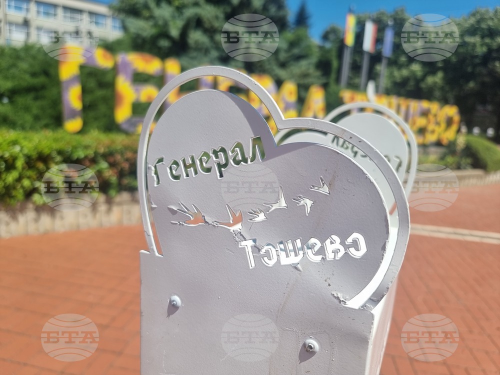 Генерал Тошево - Фестивал на лавандулата - подготовка