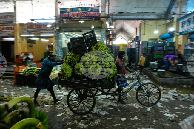 APTOPIX India Daily Life