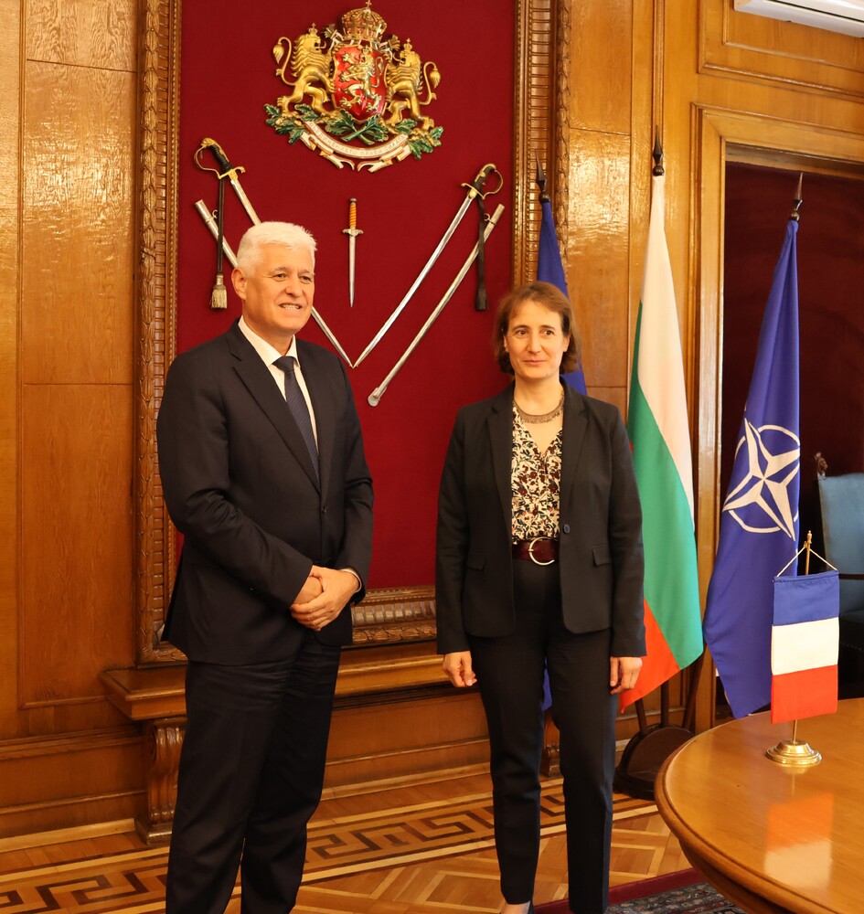 Bulgarian Armed Forces Modernization Projects Discussed with France